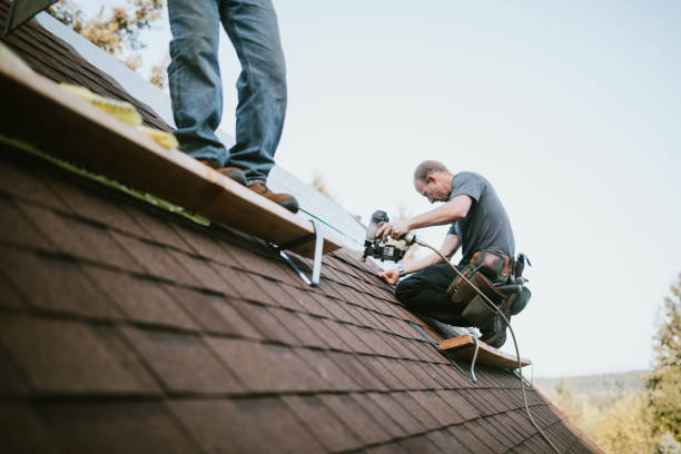 Best Metal Roofing Contractor  in Rochester, WI